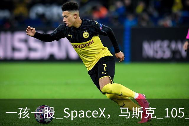 一孩一股 SpaceX，马斯克 105 亿美元的全民实验