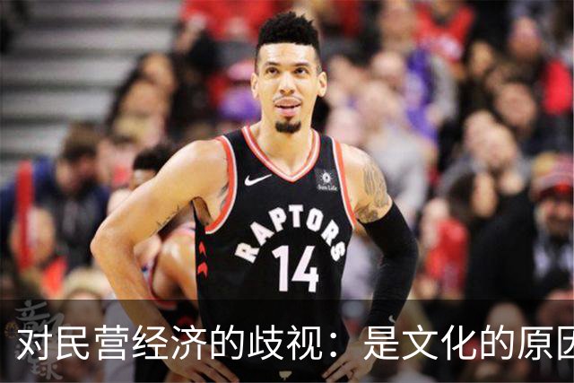 对民营经济的歧视：是文化的原因，还是意识形态的推动
