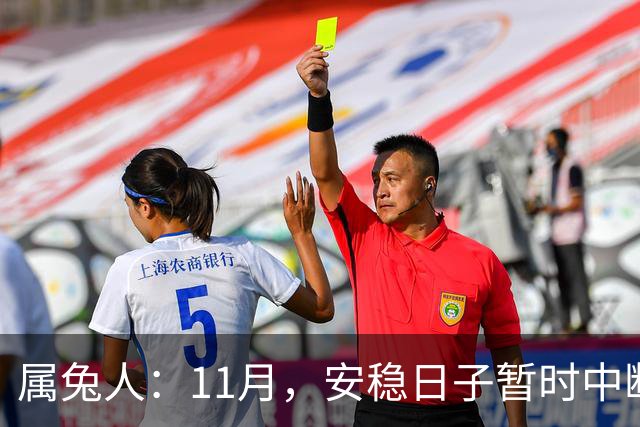 属兔人：11月，安稳日子暂时中断，大戏要开场